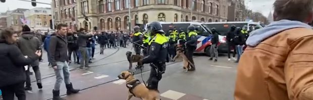 Speciale VN-rapporteur roept slachtoffers en getuigen van politiegeweld Amsterdam op zich te melden