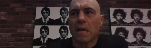 Kijk: Joe Rogan is sprakeloos nadat gast uitlegt hoe Klaus Schwab overheden infiltreert