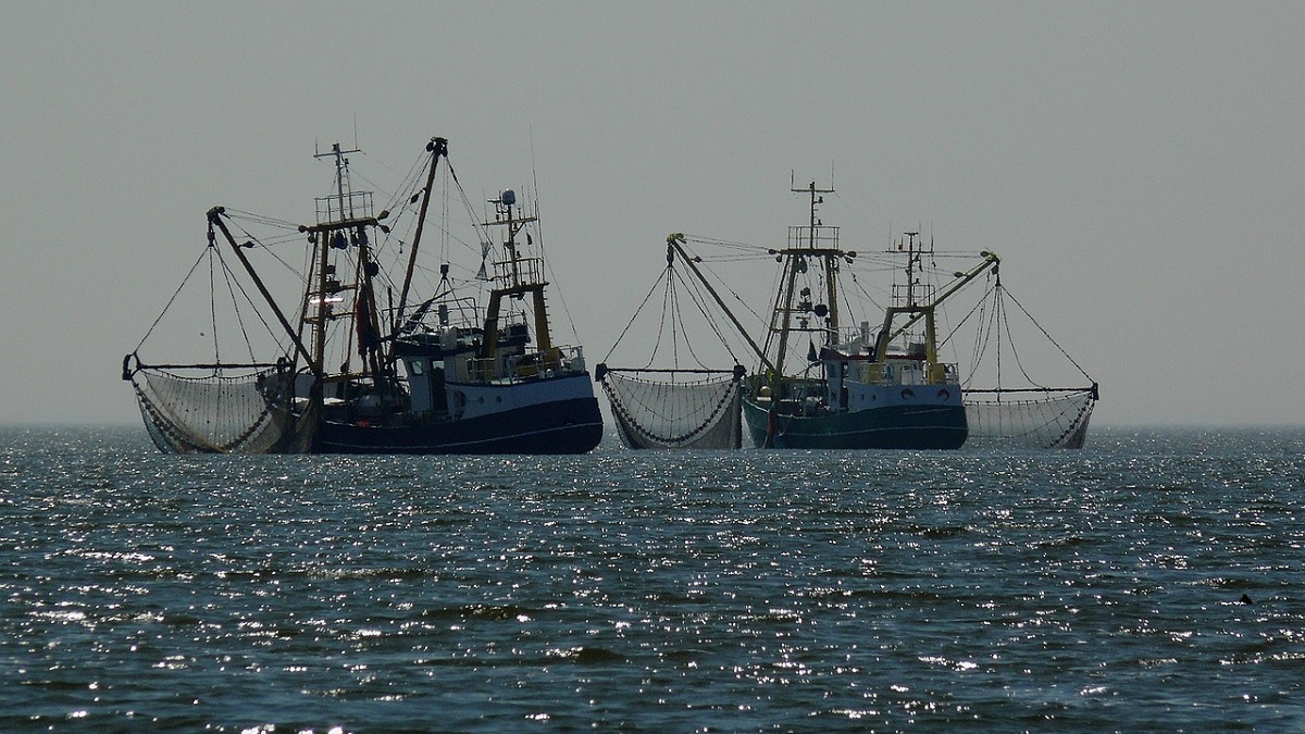 Na de boeren zijn ook de vissers aan de beurt: ‘Ik zeg: gooi alle havens maar op slot’