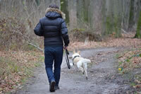 hond niet aangelijnd