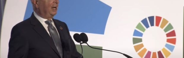 ‘In de gemeente Haarlem heeft het World Economic Forum de macht overgenomen’