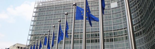 ‘Als we dit EU-voorstel aannemen, komt het landelijk gebied in heel Europa in grote, grote problemen’
