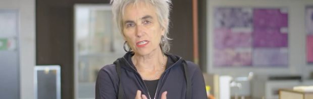 Vrijgegeven e-mails: Journalist meldt Marion Koopmans trots dat hij ‘complottheorie’ heeft gedebunkt