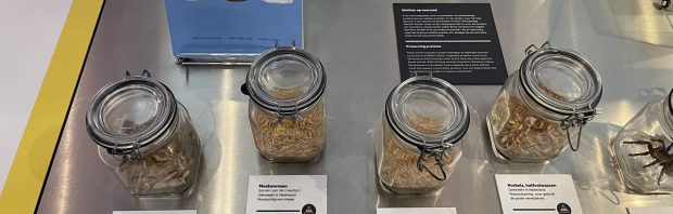 Geen complottheorie: Nederlandse musea propageren openlijk het eten van insecten