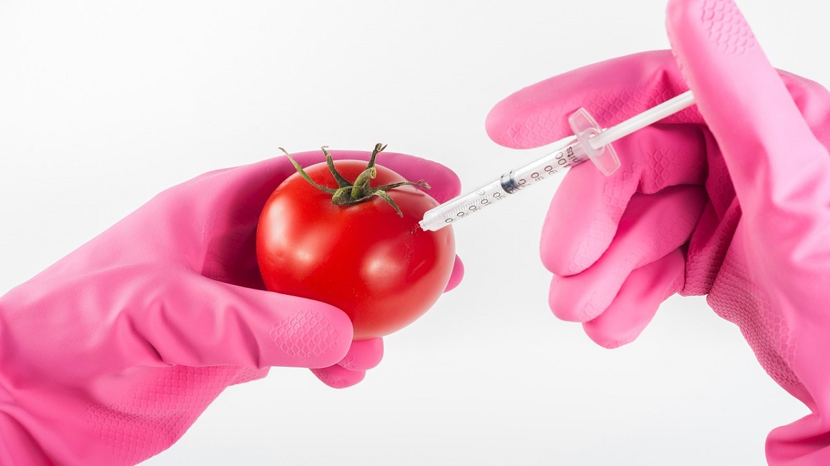 Essen Sie Ihre Impfstoffe: ab diesen Monat soll es mRNA-Gentherapie in Lebensmitteln geben