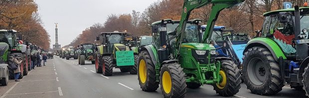 Europarlementariër: de boeren moeten verdwijnen uit Europa en dit voedsel komt er voor terug