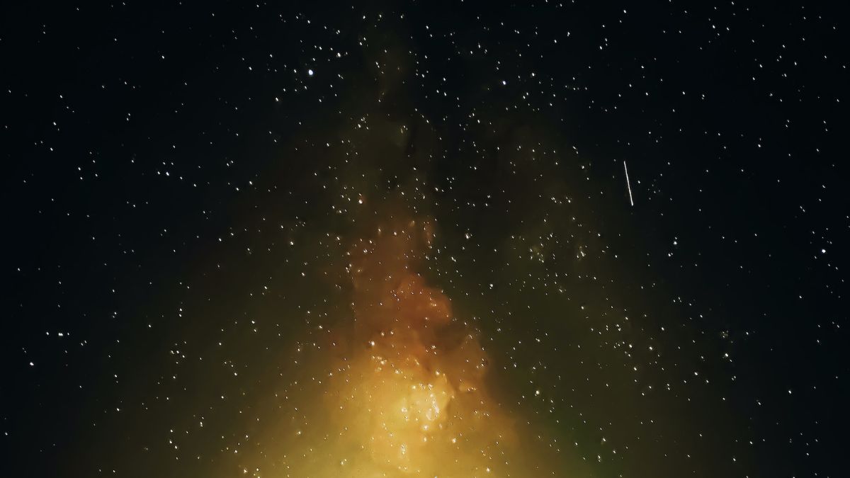 Autoriteiten staan voor raadsel nadat 3 meter lange ‘aliens’ in tuin landen