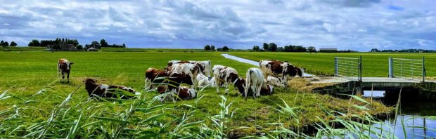 Boerin slaakt noodkreet: van dit verhaal gaan je nekharen recht overeind staan