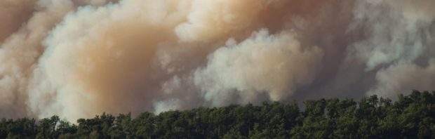 Nieuwe onthullingen over de bosbranden op Rhodos: ‘Het ging hier om georganiseerde criminaliteit’