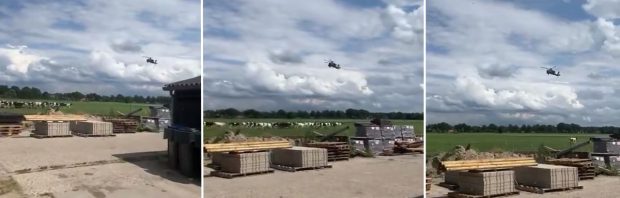 Gevechtshelikopter jaagt vee op hol van boer die ‘afgeschoten dreigt te worden’ door overheid