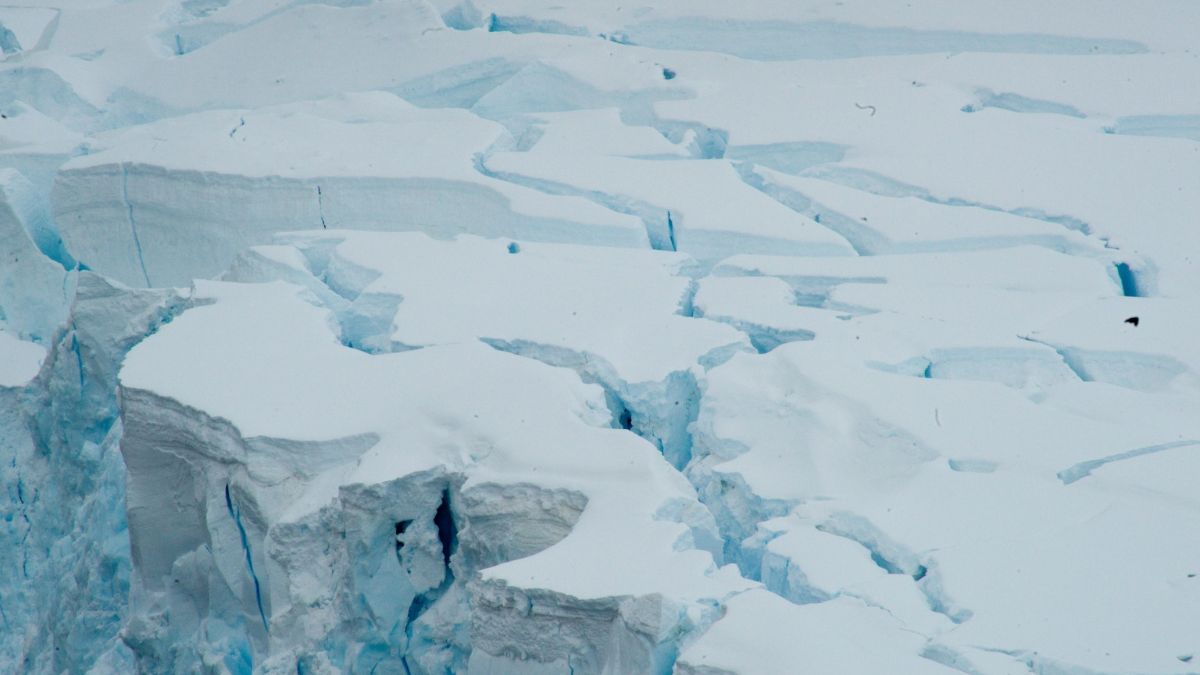 Diep onder het ijs van Antarctica is een onverwachte ontdekking gedaan