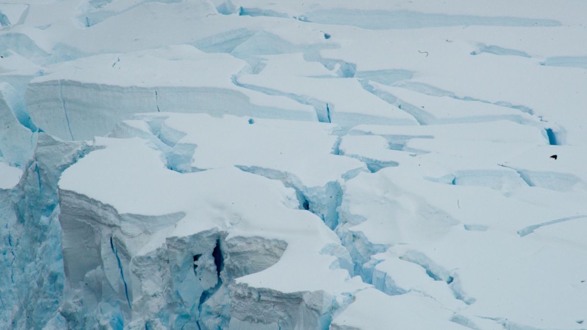 antarctica