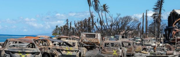 Zo dan! Waarheid over branden op Maui komt alsnog via dit tv-item naar buiten