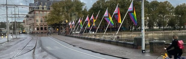 ‘Neofascistische’ vlaggen gespot bij het Binnenhof: ‘Wat doen die daar?’