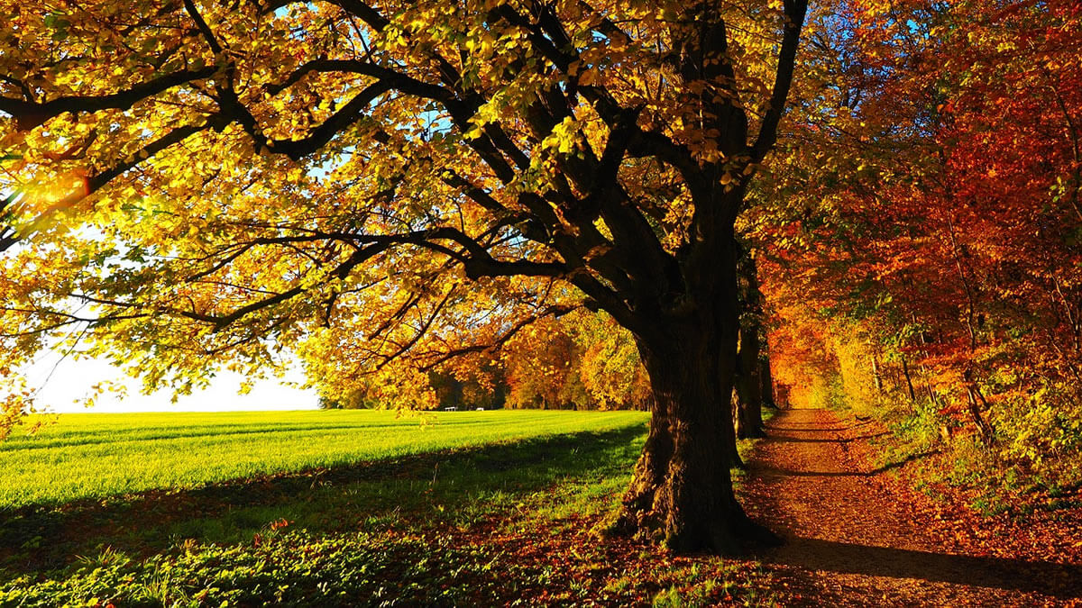 De herfst is begonnen: trends voor herfstkleding 2023