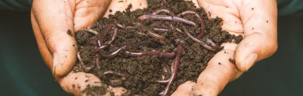 6-jarige kinderen krijgen wormen ‘opgedrongen’ in het Museon: ‘Verder niets aan de hand hoor’
