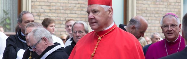 Kardinaal over ‘uitroeiingsprogramma’ globalisten: ‘Iedereen die dit bekritiseert wordt een nazi genoemd’