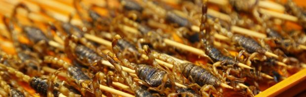 Als je het niet ziet zitten om insecten te eten, ben je een complotdenker volgens de Volkskrant