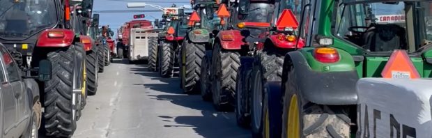 Nu gaat het echt los: Canadese boeren sluiten zich aan bij protesten