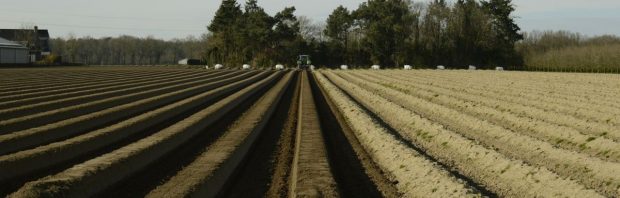 Doldwaze ontwikkelingen rond Nederland-op-slot-wet: ‘Dit is een ongekende schoffering van de kiezers’