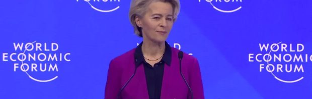 Dankzij Ursula von der Leyen zitten er al krekels in je koekjes en brood zonder dat dit op de verpakking staat