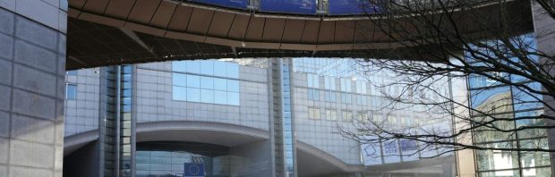 Pas verkozen Europarlementslid onthult hoeveel hij verdient: ‘Ik heb daar geen woorden voor’