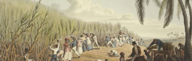 Waarom het idee dat blanken de enige slavenhandelaren in de geschiedenis waren belachelijk is