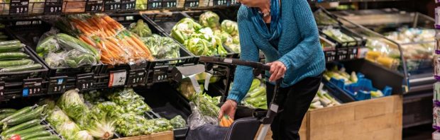 ‘Welkom in Dystopië’: door de overheid gesteund centrum gaat insecten in supermarktschappen leggen en promoten