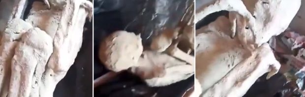 2 nieuwe drievingerige mummies ontdekt in Peru, Amerikaanse congres start onderzoek