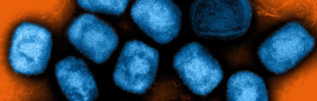 Zorgelijk: wat je moet weten over het nieuwe vaccin tegen apenpokken dat zojuist is goedgekeurd