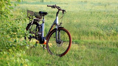ebike