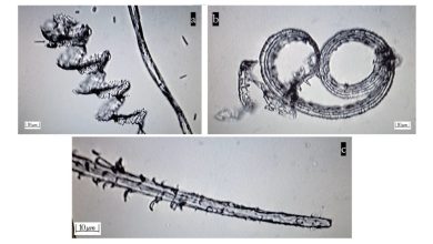 nanostructuren