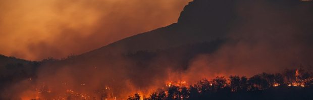 Bioethicus komt met wel heel bizarre oplossing tegen ‘klimaatverandering’: ‘Volstrekt gestoord’