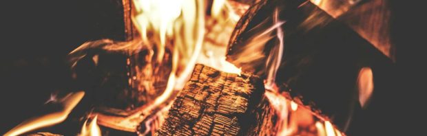 Kinderarts en directeur Longfonds noemt hout stoken ‘superongezond’, blijkt zelf schuurtje met brandhout te hebben
