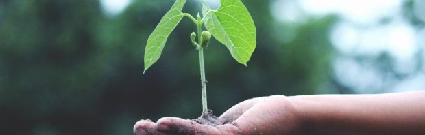 Groene beerput: tot 41 miljard aan klimaatgeld KWIJTGERAAKT