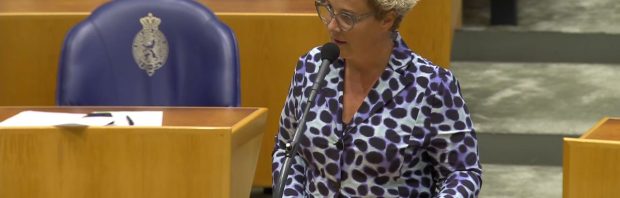 Harde uithaal richting D66-Kamerlid Paulusma: ‘Schaamteloze domme reclame’