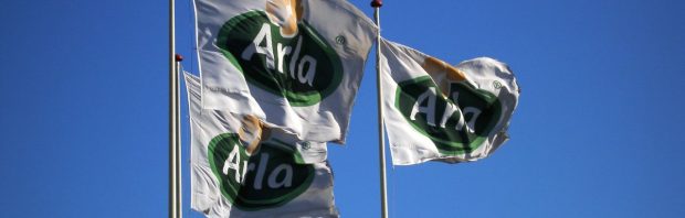 Zuivelgigant Arla verwikkeld in mediastorm rondom methaanremmer voor koeien, massale oproep tot boycot