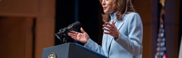 ‘Miljardairs die Kamala Harris steunen doodsbenauwd dat Trump Epstein-lijst vrijgeeft’