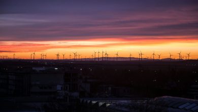 klimaat