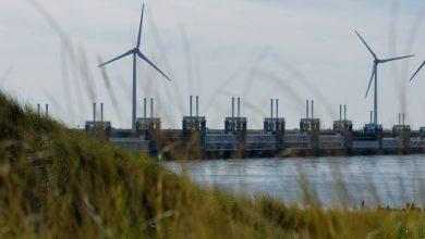 oosterscheldekering