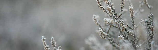 Steeds meer mensen overwinteren in het buitenland