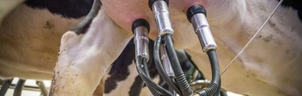 Vrijwillig kan dit niet: hoe de overheid de prijs van vlees en zuivel wil OPDRIJVEN
