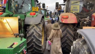 boeren