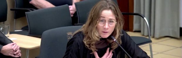 Oud-beroepsmilitair spreekt gemeenteraad van Winterswijk toe over SDG’s: ‘Ik kan niet anders dan opstaan’