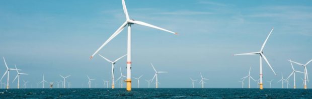 ‘Klimaatcriminelen’: 5 procent van alle bruinvissen mag overlijden door de aanleg van windparken