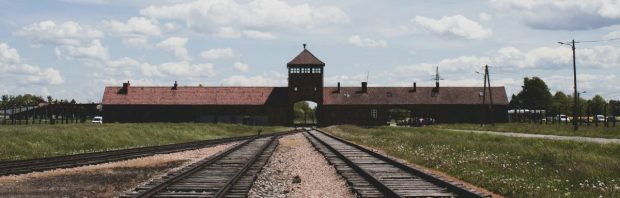 Herdenking 80 jaar Auschwitz: de bezetters zijn uitgenodigd, de bevrijders niet – ‘Schandalig, onvoorstelbaar eigenlijk’