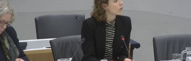 Verbazing over optreden klimaatminister Hermans: ‘Je zal toch zo ontzettend incompetent en zo ontzettend dom zijn’