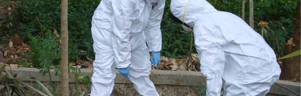 Wat je moet weten over het zeer toxische, mogelijk dodelijke en ineffectieve vogelgriepvaccin