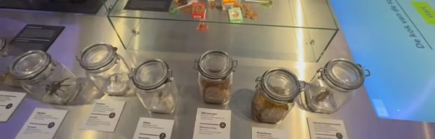 Kinderen ‘worden geïndoctrineerd’ in het Museon-Omniversum: ‘Helemaal gestoord zijn deze mensen’