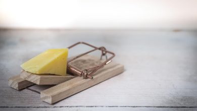 ongediertebestrijding